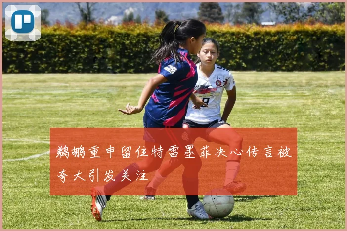 鹈鹕重申留住特雷墨菲决心传言被夸大引发关注